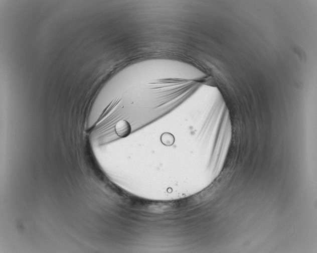 X0000111010172200907171842