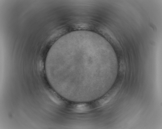 X0000111010173200907171842