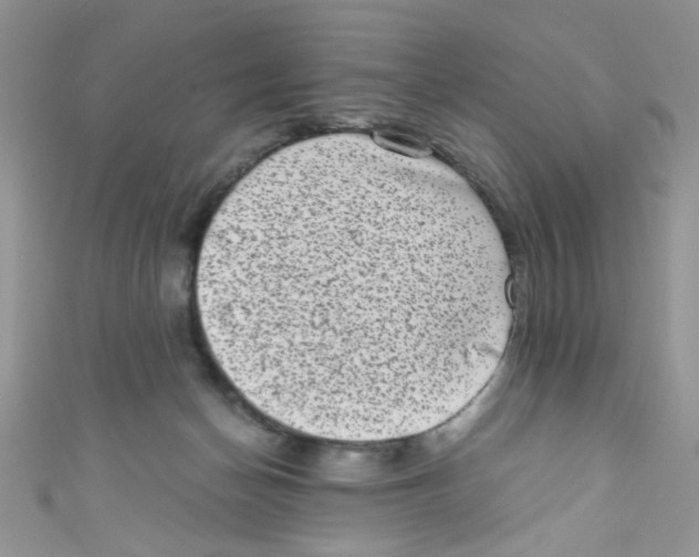 X0000111010174200907171842