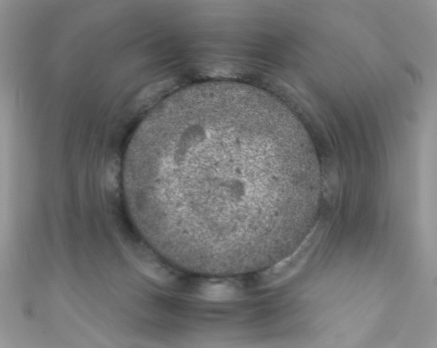 X0000111010175200907171842