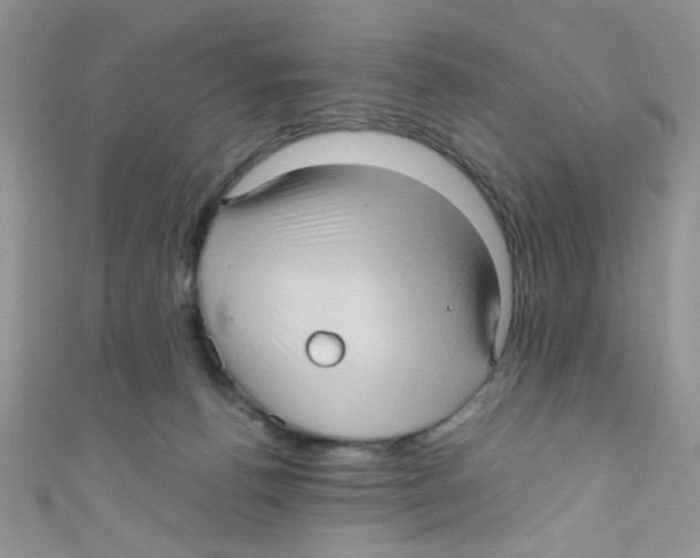 X0000111010176200907171842