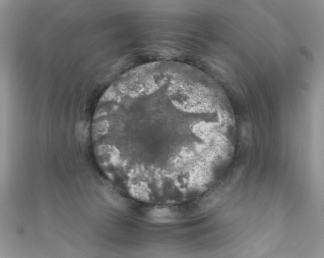 X0000111010177200907171842
