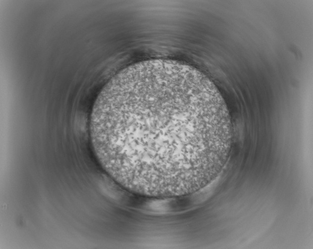 X0000111010178200907171842