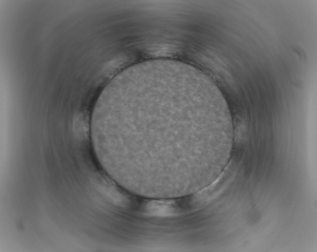 X0000111010179200907171842