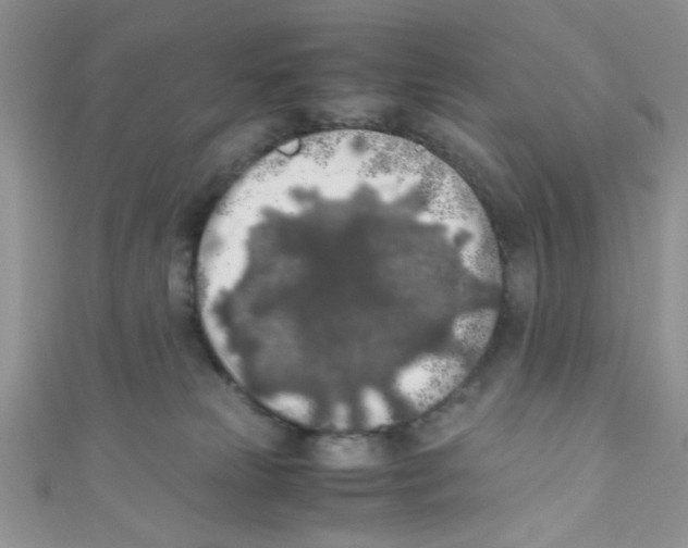 X0000111010181200907171842