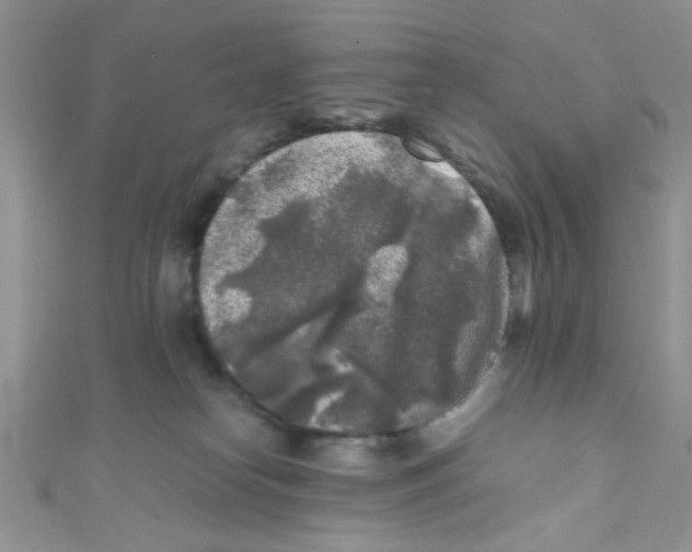 X0000111010182200907171842