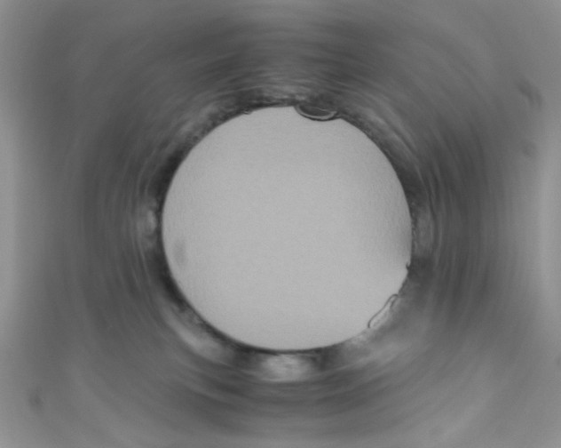 X0000111010183200907171842