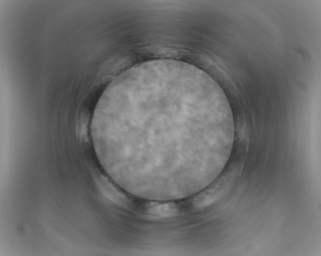 X0000111010185200907171842