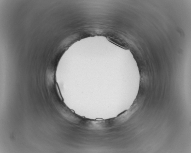 X0000111010188200907171842