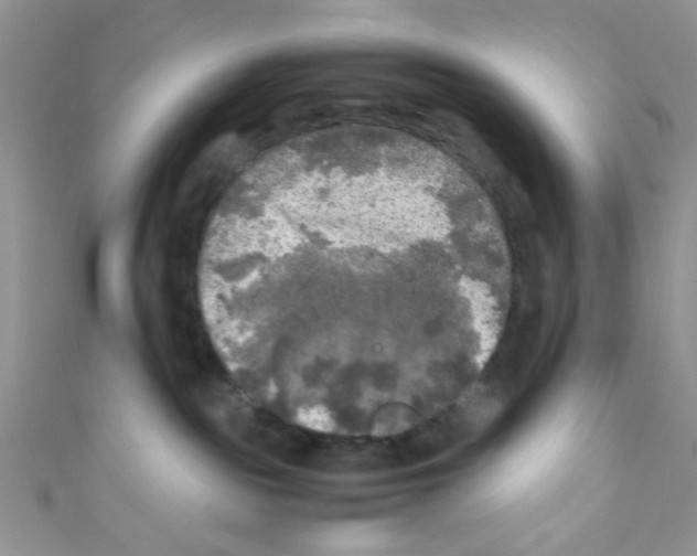 X0000111010189200907171842