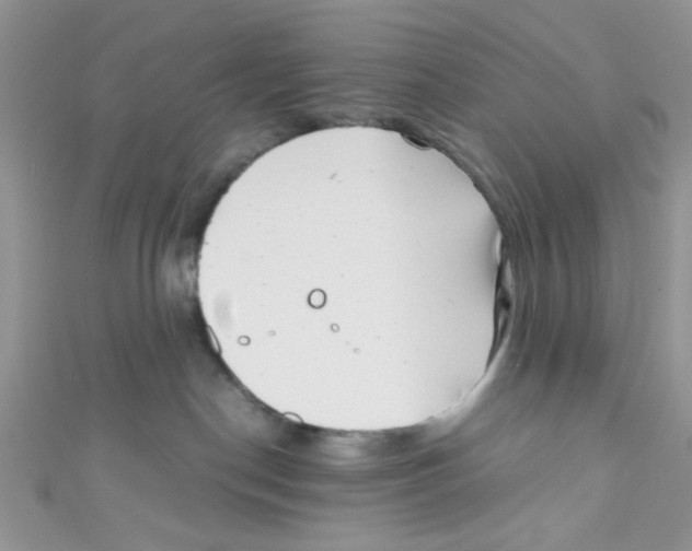 X0000111010190200907171842