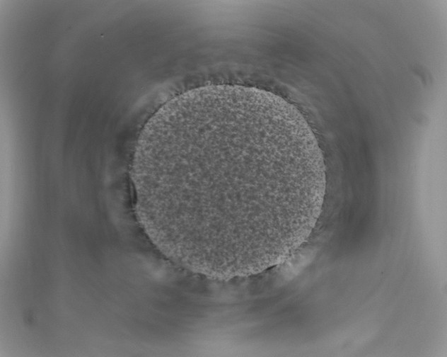 X0000111010192200907171842