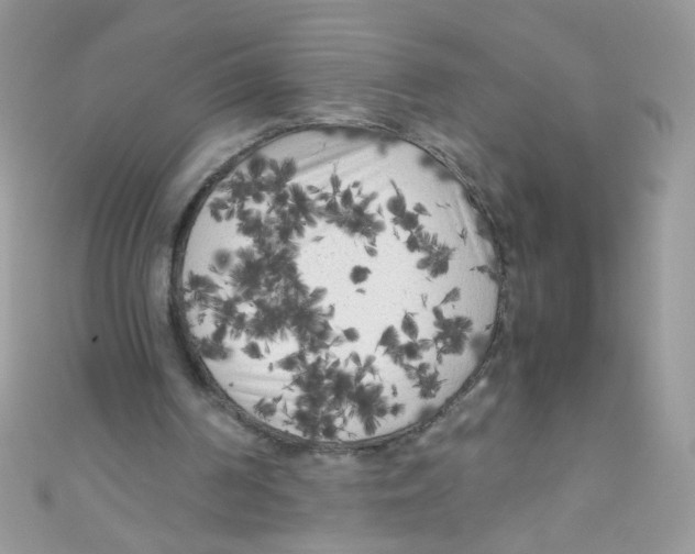 X0000111010194200907171841