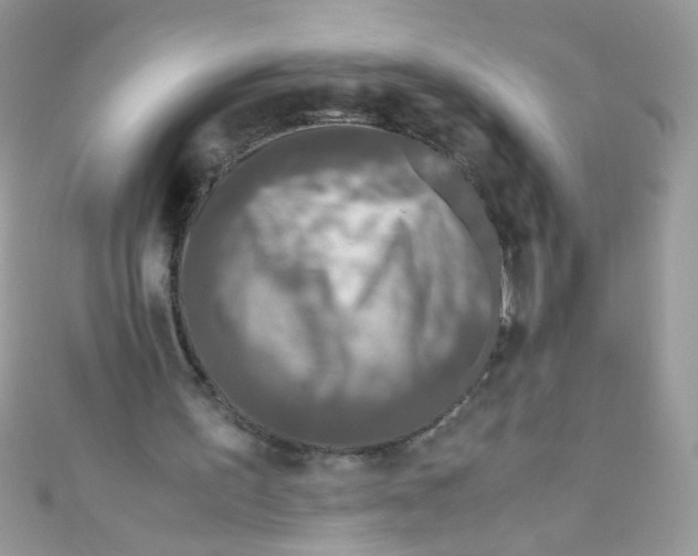 X0000111010195200907171841