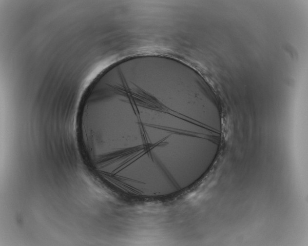 X0000111010196200907171841