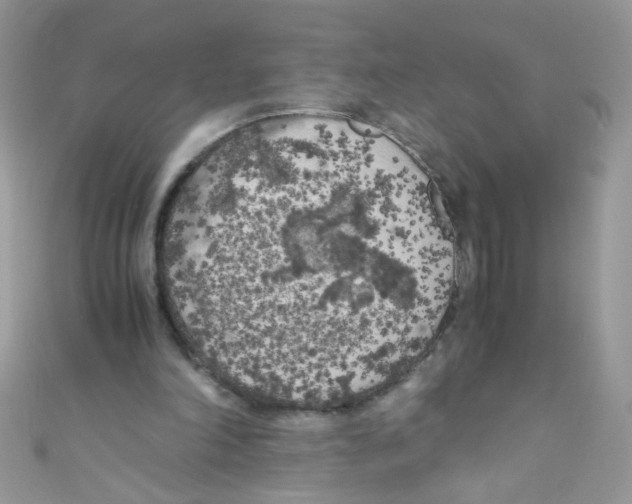 X0000111010198200907171841