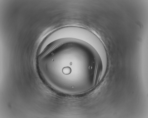 X0000111010199200907171841