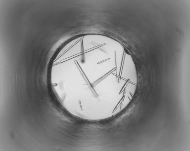 X0000111010200200907171841