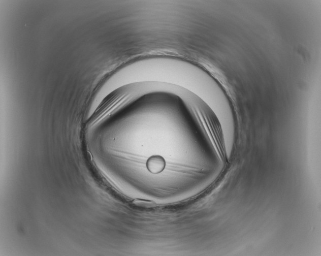 X0000111010201200907171841