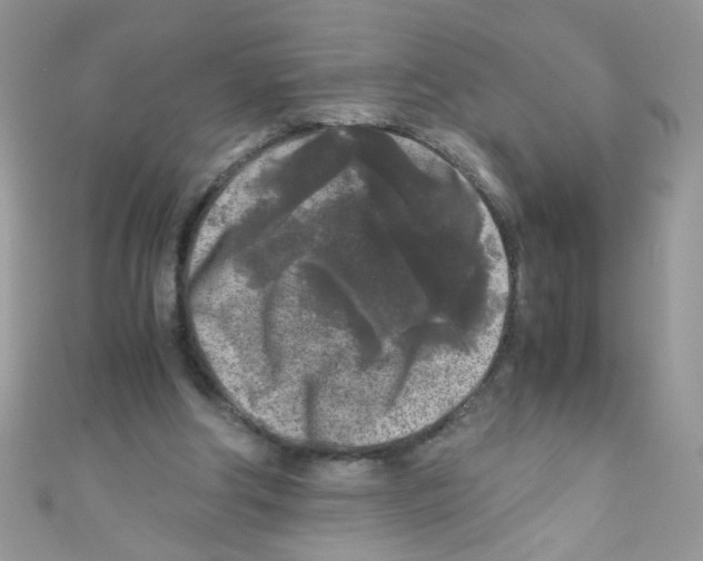 X0000111010202200907171841