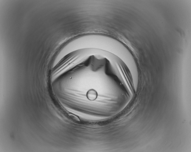 X0000111010203200907171841