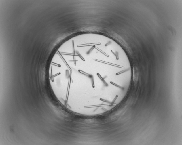 X0000111010204200907171841