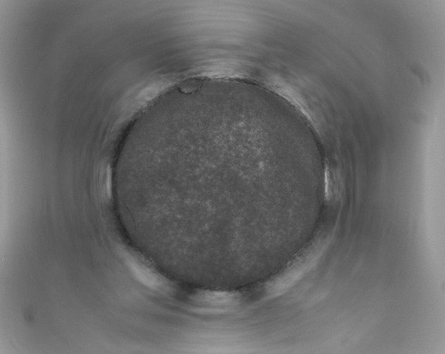 X0000111010205200907171841