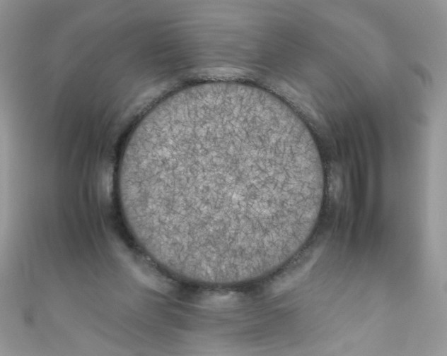 X0000111010206200907171841