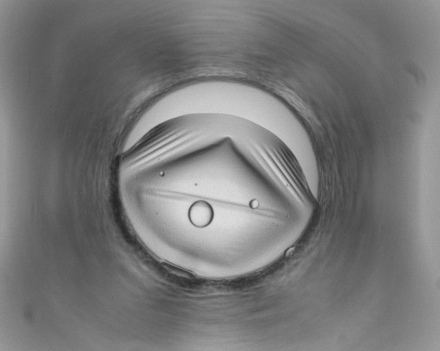 X0000111010207200907171841