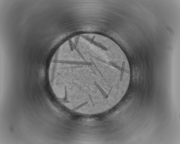 X0000111010208200907171841