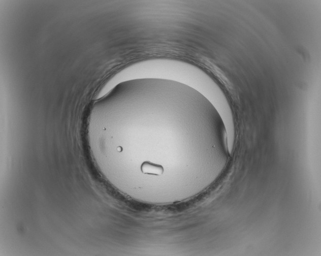 X0000111010209200907171841
