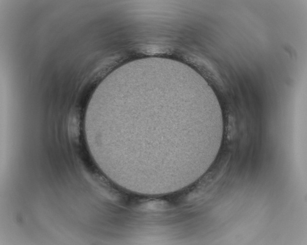 X0000111010210200907171841
