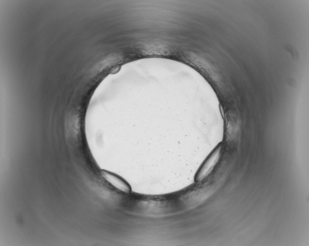 X0000111010211200907171841