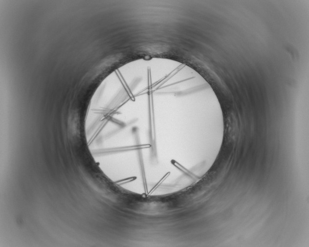 X0000111010212200907171841