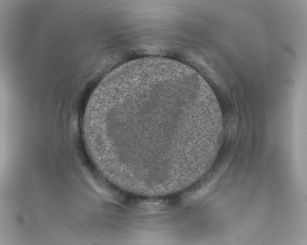 X0000111010213200907171841
