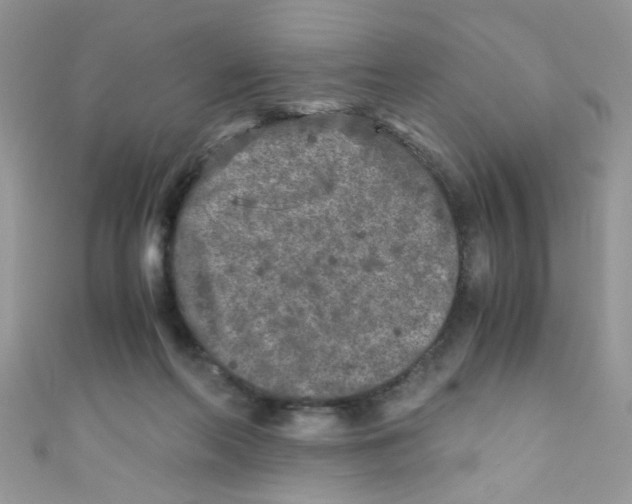 X0000111010214200907171841
