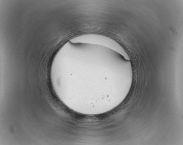 X0000111010215200907171841