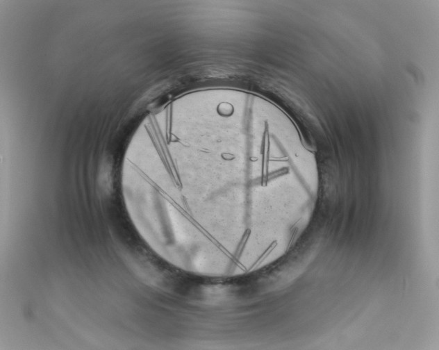 X0000111010216200907171841