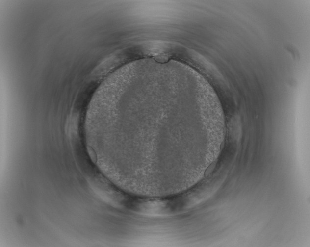 X0000111010217200907171841