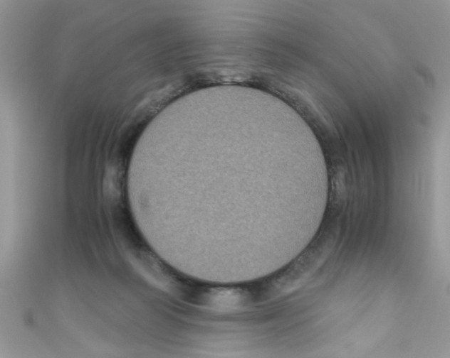 X0000111010218200907171841
