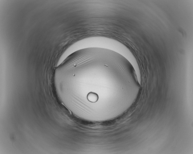 X0000111010219200907171841