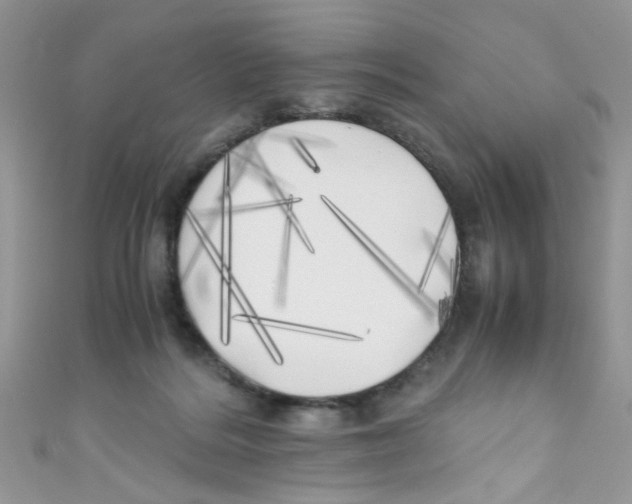 X0000111010220200907171841