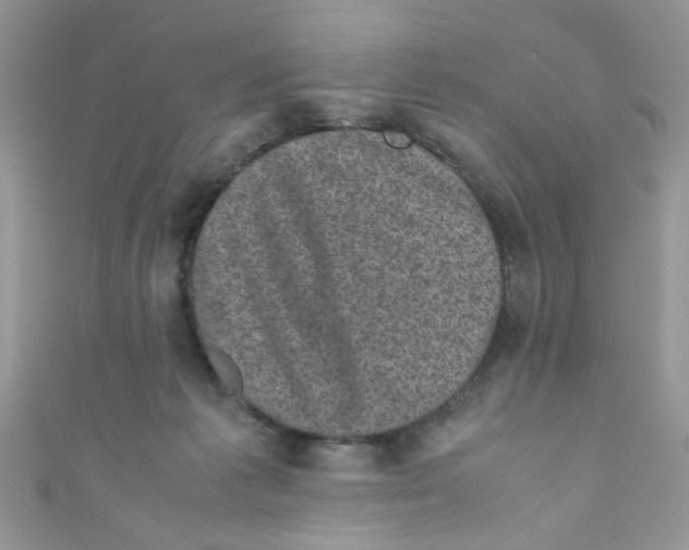 X0000111010221200907171841