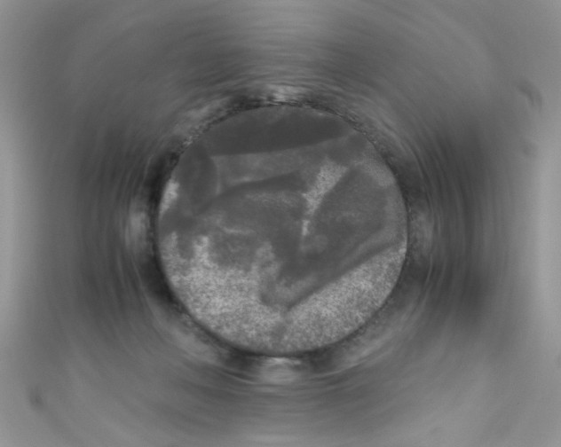 X0000111010222200907171841