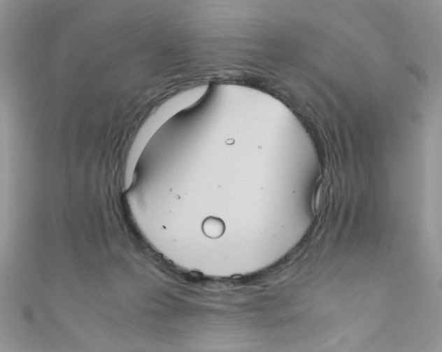 X0000111010223200907171841