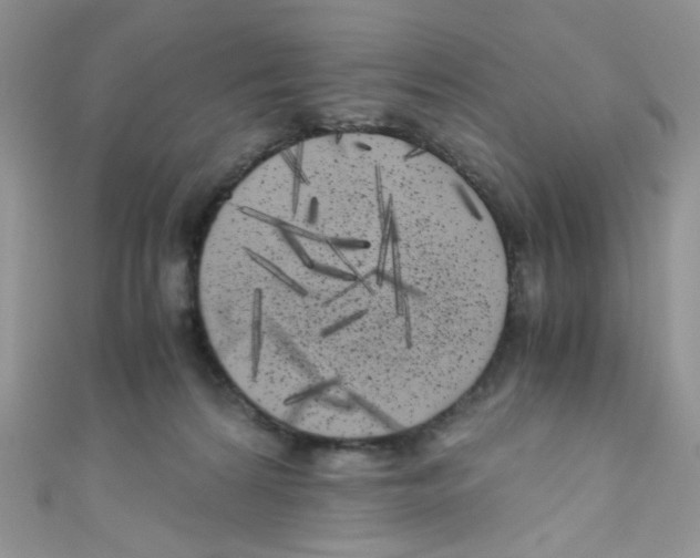 X0000111010224200907171841