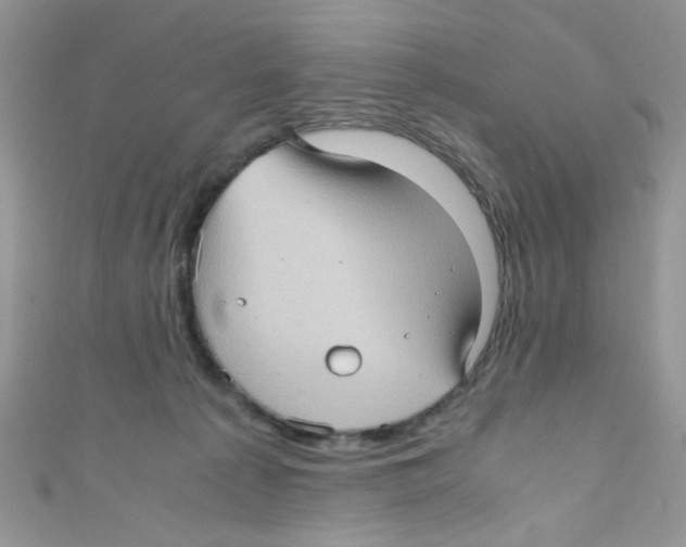 X0000111010225200907171841