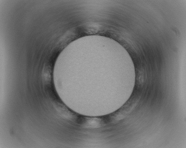 X0000111010226200907171841