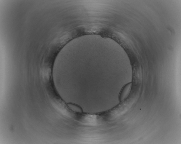 X0000111010227200907171841