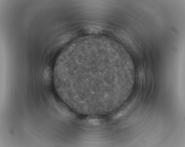 X0000111010228200907171841